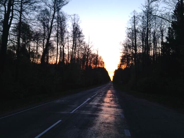 Prosta droga prowadząca przez zalesiony teren o zachodzie słońca podczas wyjazdu w teren