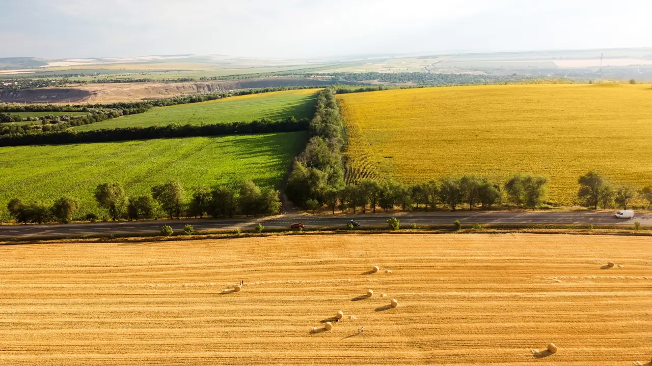 Rozległe pola uprawne należące do przedsiębiorstwa rolnego Belitsa-Agro na Białorusi.